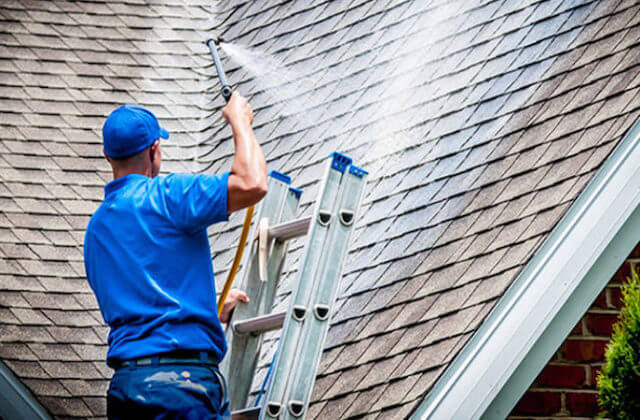 forest hills roof cleaning